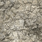 Aging skin